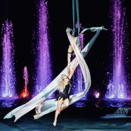 Цирк Никулина на Цветном бульваре в Сочи Парке 2022 фотографии