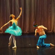 Гала-концерт «Шедевры мирового балета» 2017 фотографии