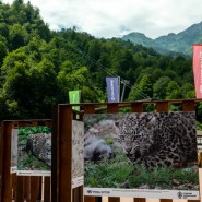 Фото: rosakhutor.ru