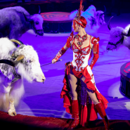 Фото: circus-sochi.ru