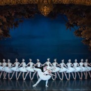 Фото: vk.com/spb_ballet_theatre