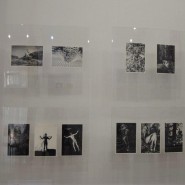 Выставка «Память Сочи» фотографии