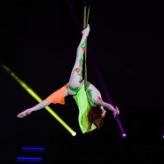 Фото: circus-sochi.ru