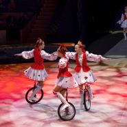 Фото: circus-sochi.ru