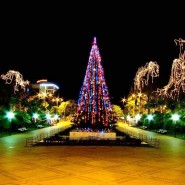 Фото: sochilives.ru