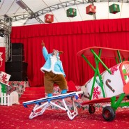 Фото: sochipark.ru