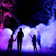 Ночной маршрут «Оживший парк» в парке «Южные культуры» 2020 фотографии