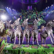 Фото: circus-sochi.ru