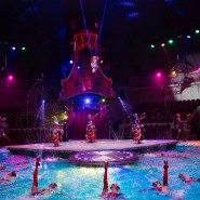 Цирковая программа на воде «Шевченко-Шоу» 2022 фотографии