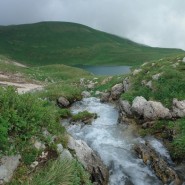 Кавказский биосферный заповедник фотографии