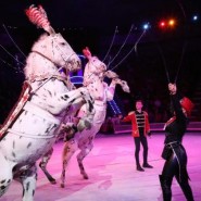 Цирковое шоу «Бурлеск» 2021 фотографии