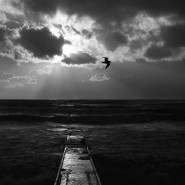 Выставка «Сквозь тишину» фотографии