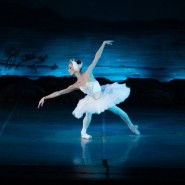 Балет «Лебединое озеро» в Зимнем театре 2018 фотографии