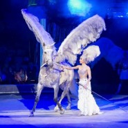 Цирковое шоу «Королевский цирк Гии Эрадзе» 2018 фотографии