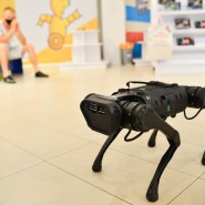Выставка роботов РОБОПАРК фотографии