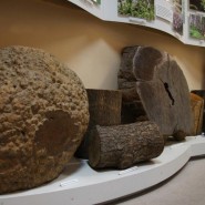 Выставка «Археологические памятники Сочинского региона» фотографии