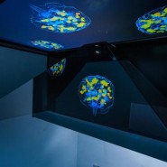 Обзорная экскурсия по лабораториям Парка науки и искусства «Сириус» 2022 фотографии