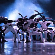 Шоу-балет Аллы Духовой «Todes» 2023 фотографии
