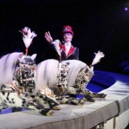 Цирковое шоу «Бурлеск» 2021 фотографии