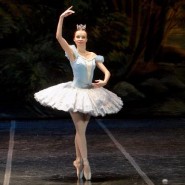 Гала-концерт «Шедевры мирового балета» 2020 фотографии