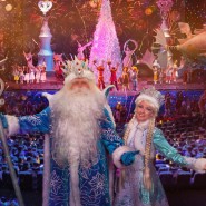 Цирковое шоу «Дед Мороз в стране медведей» 2023-2024 фотографии