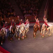 Фото: circus-sochi.ru