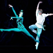 Выставка «Волшебный мир балета» фотографии