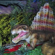 Выставка роботизированных динозавров в Сочи Парке фотографии