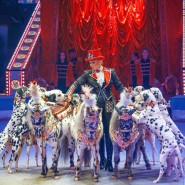 Фото: circus-sochi.ru