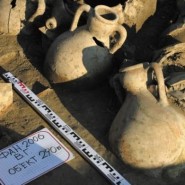 Фото: parksirius.ru