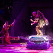Фото: circus-sochi.ru
