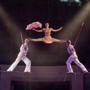 Фото: circus-sochi.ru