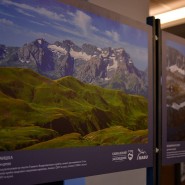 Выставка «Природа Кавказского заповедника» фотографии