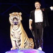Цирковая программа «Тигры на земле и в воздухе» 2023 фотографии