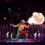 Цирковая программа на воде «Шевченко-Шоу» 2022 фотографии