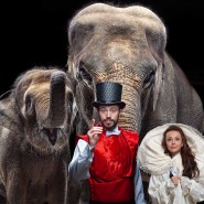 Цирковое шоу «Девочка и слон» 2023 фотографии