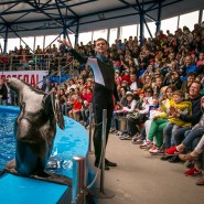Фото: vk.com/sochipark