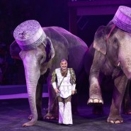 Фото: circus-sochi.ru