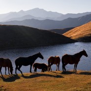 Фотовыставка «Северный Кавказ. Семь историй» фотографии