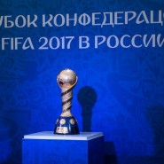 Парк Кубка Конфедераций FIFA 2017 в Сочи фотографии