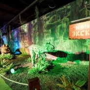 Выставка роботизированных динозавров в Сочи Парке фотографии