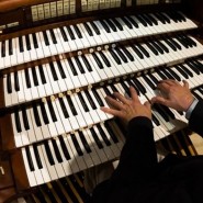 Концерт «Душу возвышающий орган» 2017 фотографии