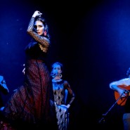 Фламенко-шоу «Легенда о Ромео и Джульетте» 2020 фотографии