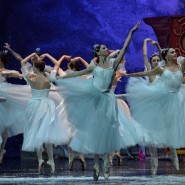 Гала-концерт «Шедевры Русского балета» 2022 фотографии