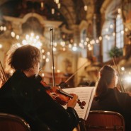 Фото: sochi24.tv