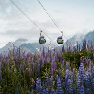 Фото: sochi.ru