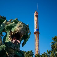Фото: sochipark.ru
