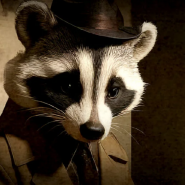 Фото: rosahall.com