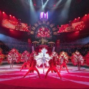 Фото: circus-sochi.ru