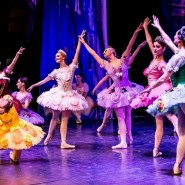 Гастроли Театра классического балета «Moscow State Ballet» 2020 фотографии
